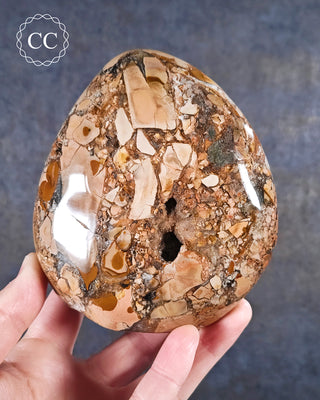 A hand holding an Eggshell / Ibis Jasper Freeform from Madgascar 