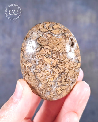Eggshell Jasper | Ibis Jasper Palm Stone #1