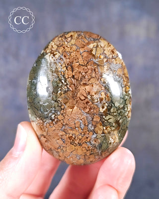 A hand holding an Eggshell - Ibis Jasper Freeform from Madagascar