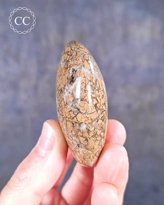 Eggshell Jasper | Ibis Jasper Palm Stone #1