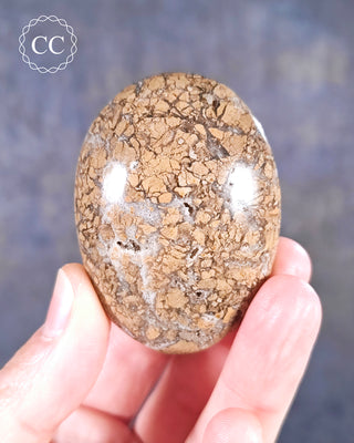 A hand holding an Eggshell - Ibis Jasper palmstone from Madagascar 