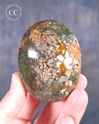 Eggshell Jasper | Ibis Jasper Palm Stone #2