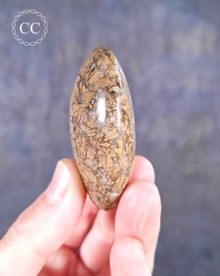Eggshell Jasper | Ibis Jasper Palm Stone #1