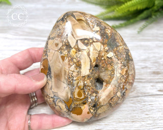 Eggshell Jasper | Ibis Jasper Freeform #2