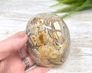 Eggshell Jasper | Ibis Jasper Freeform #1