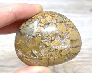 Eggshell Jasper | Ibis Jasper Palm Stone #1