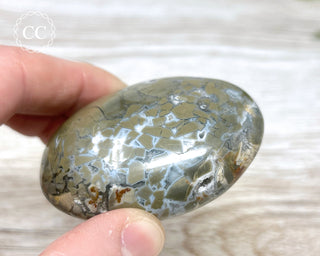 Eggshell Jasper | Ibis Jasper Palm Stone #2