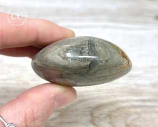Eggshell Jasper | Ibis Jasper Palm Stone #3