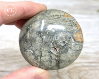 Eggshell Jasper | Ibis Jasper Palm Stone #3