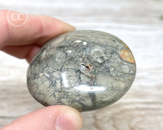 Eggshell Jasper | Ibis Jasper Palm Stone #3