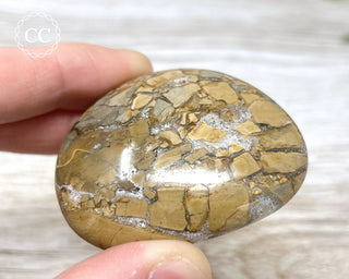 Eggshell Jasper | Ibis Jasper Palm Stone #1