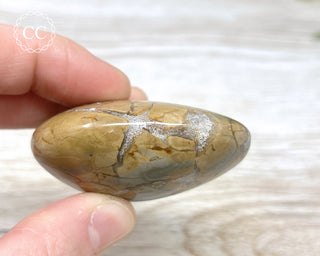 Eggshell Jasper | Ibis Jasper Palm Stone #1