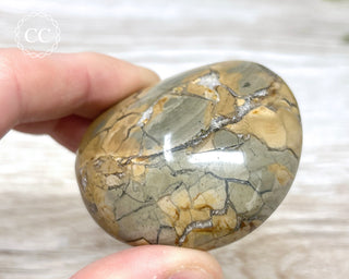 Eggshell Jasper | Ibis Jasper Palm Stone #1