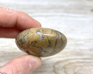 Eggshell Jasper | Ibis Jasper Palm Stone #1