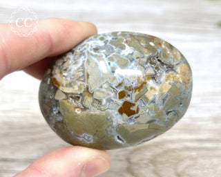 Eggshell Jasper | Ibis Jasper Palm Stone #2