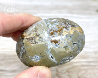 Eggshell Jasper | Ibis Jasper Palm Stone #2