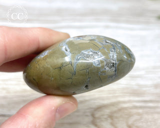Eggshell Jasper | Ibis Jasper Palm Stone #2