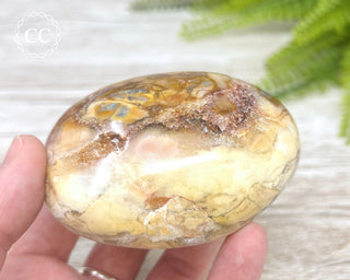 Eggshell Jasper | Ibis Jasper Chunky Palm Stone #4