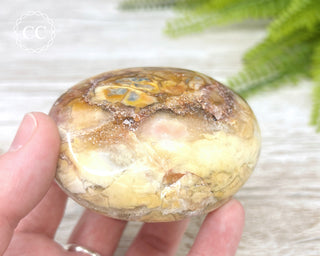 Eggshell Jasper | Ibis Jasper Chunky Palm Stone #4