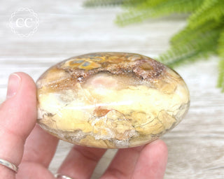 Eggshell Jasper | Ibis Jasper Chunky Palm Stone #4