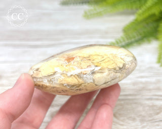 Eggshell Jasper | Ibis Jasper Chunky Palm Stone #4