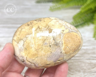 Eggshell Jasper | Ibis Jasper Chunky Palm Stone #4