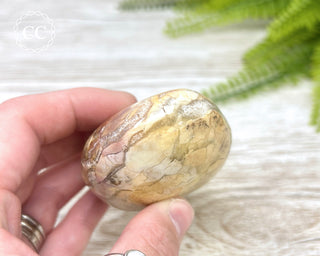 Eggshell Jasper | Ibis Jasper Chunky Palm Stone #4