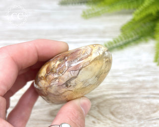 Eggshell Jasper | Ibis Jasper Chunky Palm Stone #4