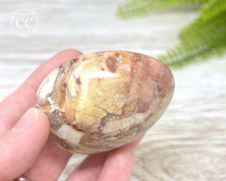 Eggshell Jasper | Ibis Jasper Chunky Palm Stone #5