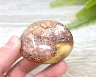 Eggshell Jasper | Ibis Jasper Chunky Palm Stone #7
