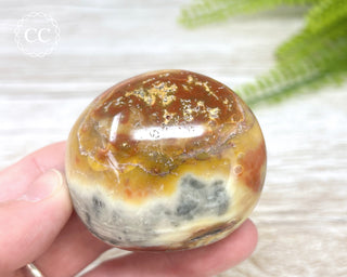 Eggshell Jasper | Ibis Jasper Chunky Palm Stone #7
