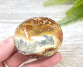 Eggshell Jasper | Ibis Jasper Chunky Palm Stone #7