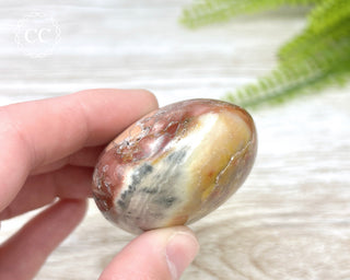 Eggshell Jasper | Ibis Jasper Chunky Palm Stone #7