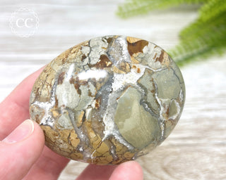 Eggshell Jasper | Ibis Jasper Chunky Palm Stone #8