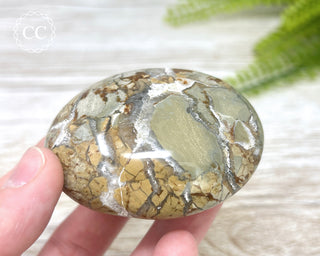 Eggshell Jasper | Ibis Jasper Chunky Palm Stone #8