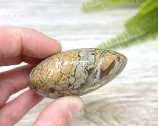 Eggshell Jasper | Ibis Jasper Chunky Palm Stone #8