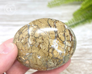 Eggshell Jasper | Ibis Jasper Chunky Palm Stone #8
