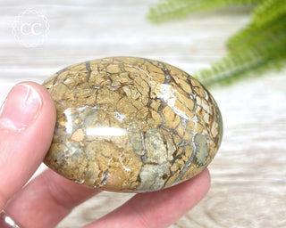 Eggshell Jasper | Ibis Jasper Chunky Palm Stone #8