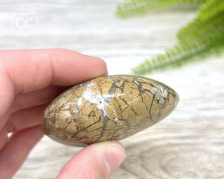 Eggshell Jasper | Ibis Jasper Chunky Palm Stone #8