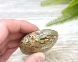 Eggshell Jasper | Ibis Jasper Chunky Palm Stone #8
