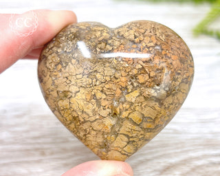 Eggshell Jasper | Ibis Jasper Heart #4