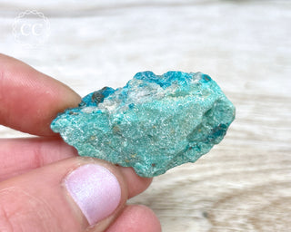 Eilat Stone Specimen #2