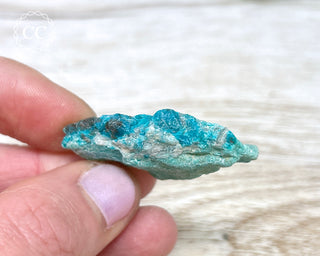 Eilat Stone Specimen #2