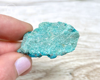 Eilat Stone Specimen #2