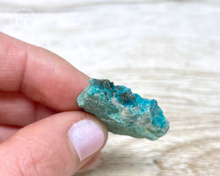 Eilat Stone Specimen #2