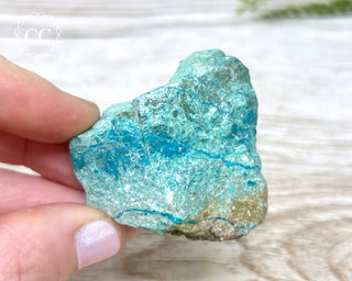 Eilat Stone Specimen #4
