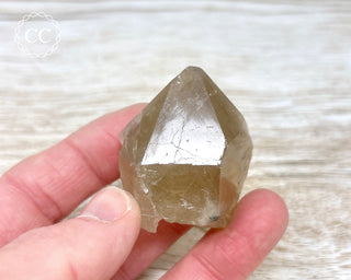 Smoky Citrine - Brazil #8