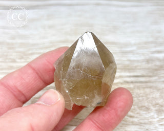 Smoky Citrine - Brazil #8