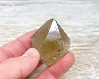 Smoky Citrine - Brazil #8