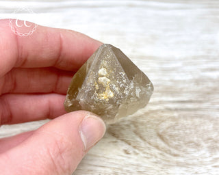 Smoky Citrine - Brazil #8